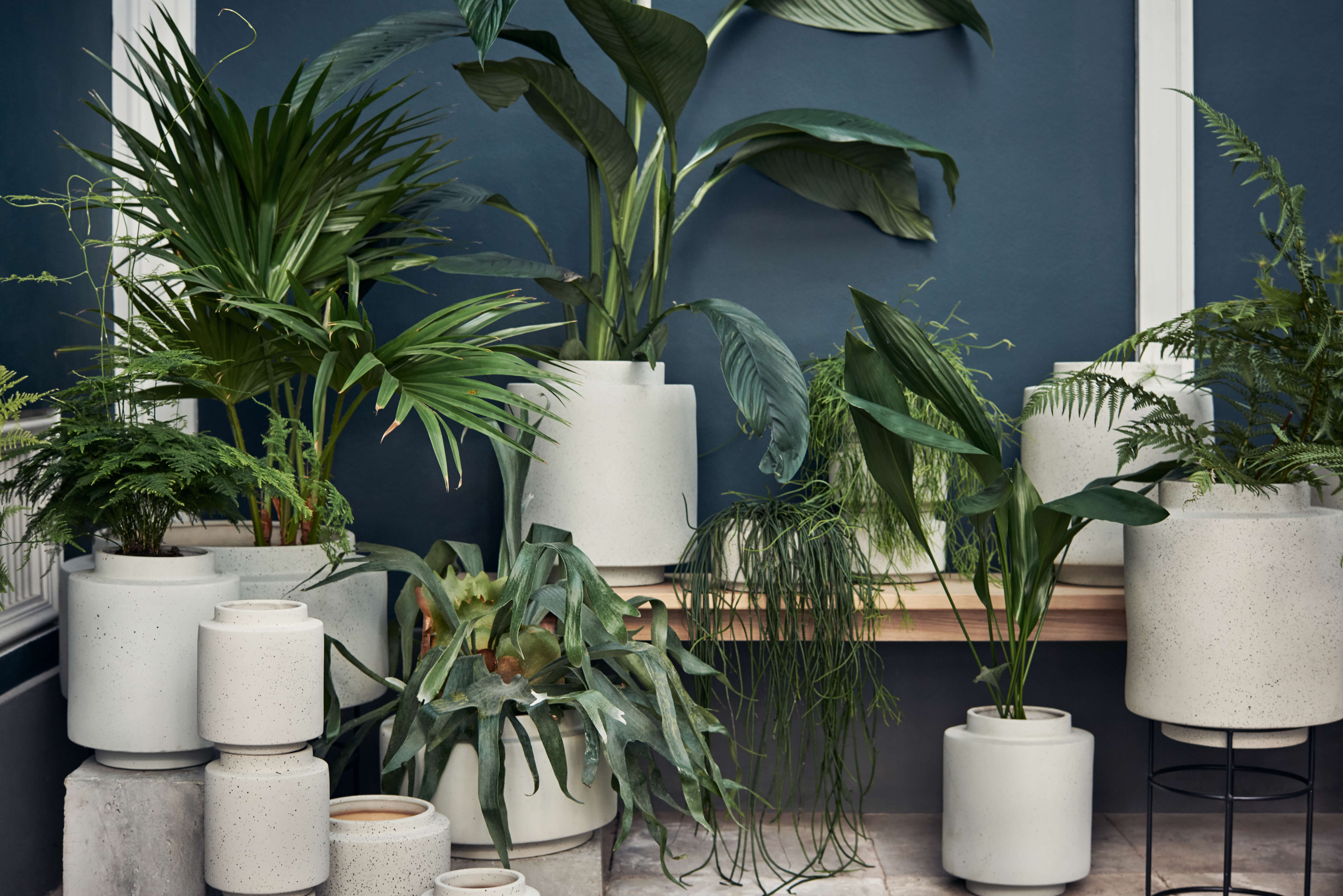 Botanique Flowerpot 32 x H65,5 cm